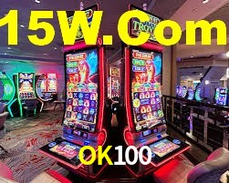 Premium Interface OK100